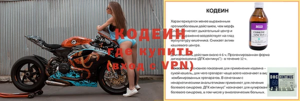 индика Лабытнанги