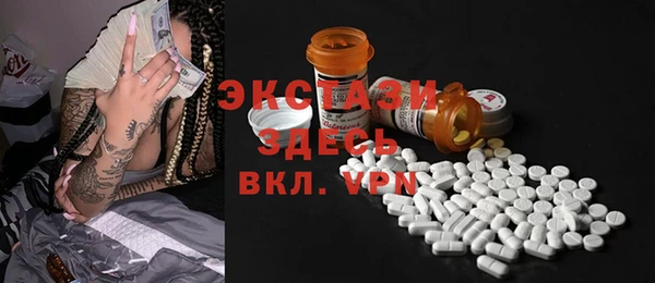 индика Лабытнанги