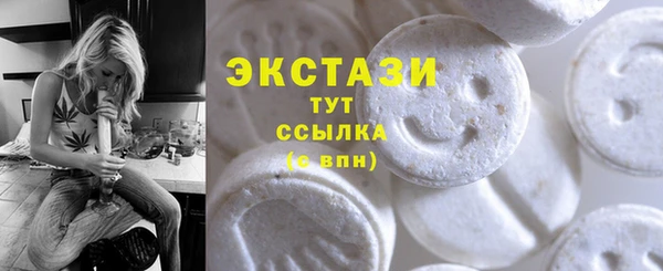 индика Лабытнанги