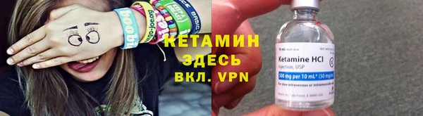 индика Лабытнанги