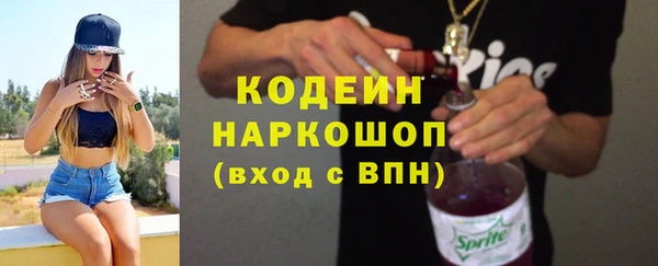 индика Лабытнанги