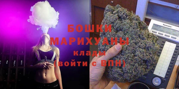 индика Лабытнанги