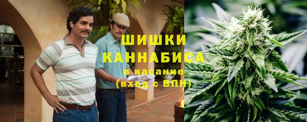 индика Лабытнанги