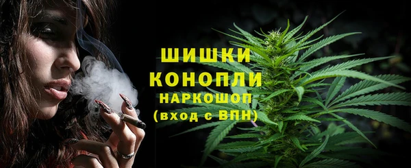 индика Лабытнанги