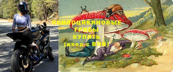 индика Лабытнанги