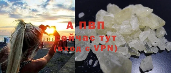 индика Лабытнанги