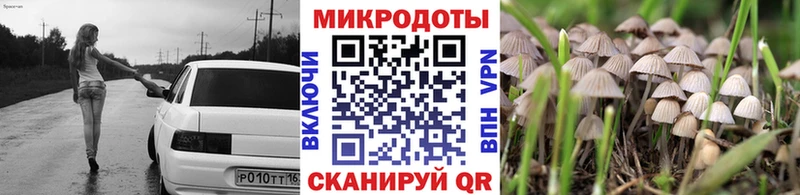 Псилоцибиновые грибы GOLDEN TEACHER  Купить закладки  Приволжский 