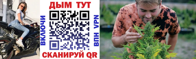 Канабис Amnesia  Купить закладки  Приволжский 